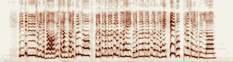 この録音の 0秒 から 12秒 までの周波数の濃淡