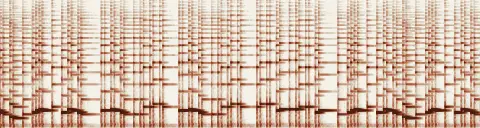 この録音の 4秒 から 34秒 までの周波数の濃淡