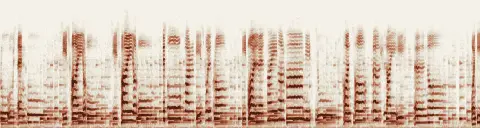 この録音の 20秒 から 50秒 までの周波数の濃淡