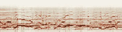 この録音の 11秒 から 41秒 までの周波数の濃淡