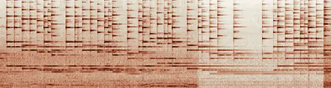 この録音の 11秒 から 41秒 までの周波数の濃淡