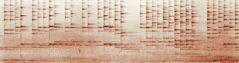 この録音の 9秒 から 39秒 までの周波数の濃淡