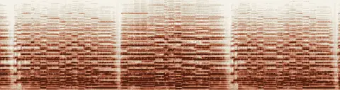この録音の 9秒 から 39秒 までの周波数の濃淡
