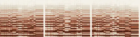 この録音の 0秒 から 30秒 までの周波数の濃淡