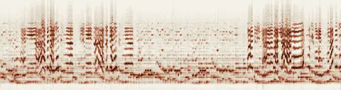 この録音の 24秒 から 54秒 までの周波数の濃淡