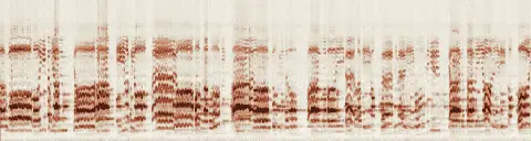 この録音の 19秒 から 49秒 までの周波数の濃淡