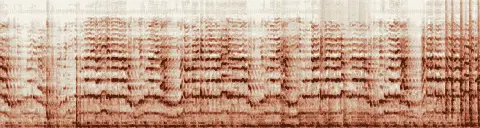 この録音の 5秒 から 35秒 までの周波数の濃淡