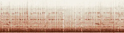 この録音の 12秒 から 42秒 までの周波数の濃淡
