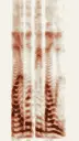 この録音の 0秒 から 2秒 までの周波数の濃淡