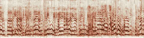 この録音の 20秒 から 50秒 までの周波数の濃淡