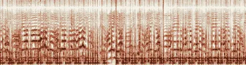 この録音の 5秒 から 35秒 までの周波数の濃淡