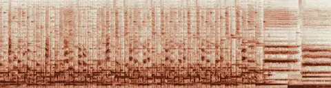 この録音の 13秒 から 43秒 までの周波数の濃淡