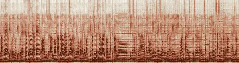 この録音の 17秒 から 47秒 までの周波数の濃淡