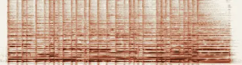 この録音の 0秒 から 11秒 までの周波数の濃淡