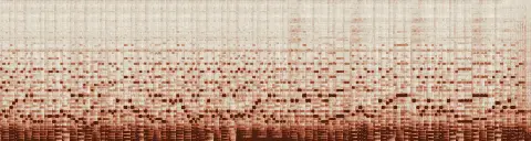 この録音の 11秒 から 41秒 までの周波数の濃淡