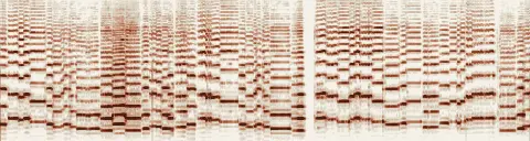この録音の 5秒 から 35秒 までの周波数の濃淡