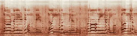 この録音の 29秒 から 59秒 までの周波数の濃淡