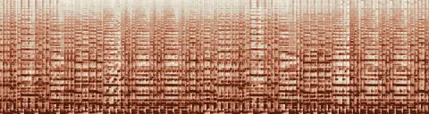 この録音の 12秒 から 42秒 までの周波数の濃淡