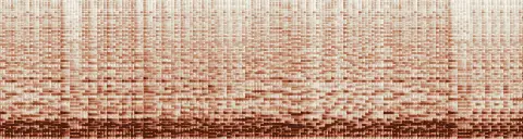 この録音の 22秒 から 52秒 までの周波数の濃淡