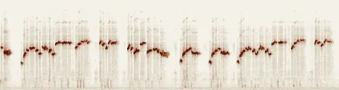 この録音の 4秒 から 34秒 までの周波数の濃淡