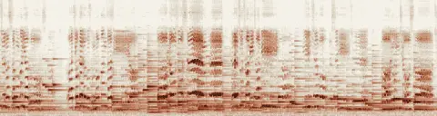 この録音の 20秒 から 50秒 までの周波数の濃淡
