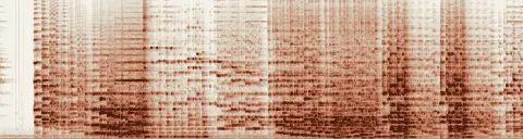 この録音の 19秒 から 49秒 までの周波数の濃淡