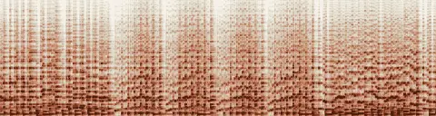 この録音の 10秒 から 40秒 までの周波数の濃淡