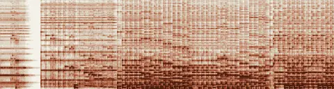 この録音の 17秒 から 47秒 までの周波数の濃淡