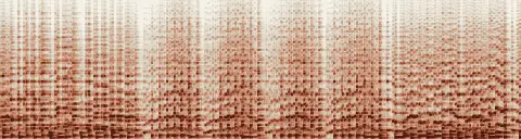 この録音の 10秒 から 40秒 までの周波数の濃淡
