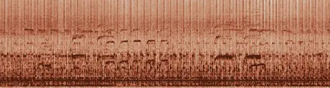 この録音の 10秒 から 40秒 までの周波数の濃淡