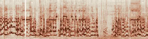 この録音の 12秒 から 42秒 までの周波数の濃淡