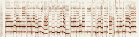 この録音の 0秒 から 25秒 までの周波数の濃淡