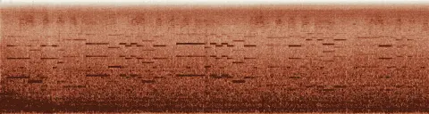 この録音の 0秒 から 20秒 までの周波数の濃淡