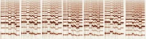 この録音の 0秒 から 28秒 までの周波数の濃淡