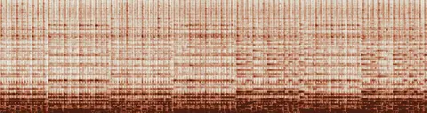 この録音の 10秒 から 40秒 までの周波数の濃淡