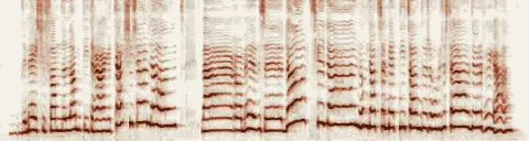 この録音の 0秒 から 12秒 までの周波数の濃淡