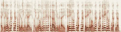 この録音の 0秒 から 21秒 までの周波数の濃淡