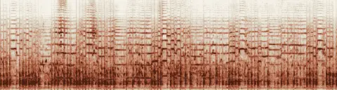 この録音の 10秒 から 40秒 までの周波数の濃淡