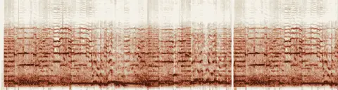 この録音の 0秒 から 23秒 までの周波数の濃淡