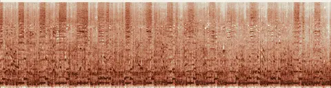 この録音の 6秒 から 36秒 までの周波数の濃淡