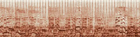 この録音の 6秒 から 36秒 までの周波数の濃淡