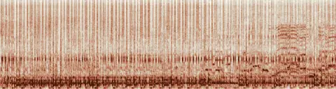 この録音の 8秒 から 38秒 までの周波数の濃淡