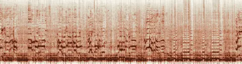 この録音の 9秒 から 39秒 までの周波数の濃淡