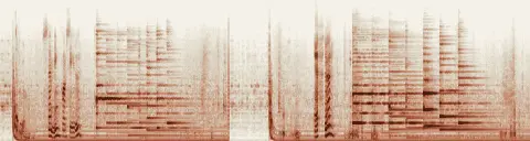 この録音の 0秒 から 25秒 までの周波数の濃淡