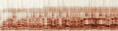 この録音の 11秒 から 41秒 までの周波数の濃淡