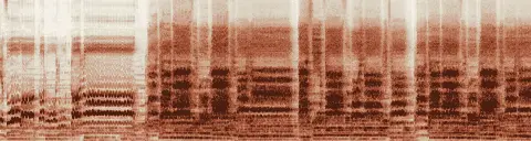 この録音の 26秒 から 56秒 までの周波数の濃淡