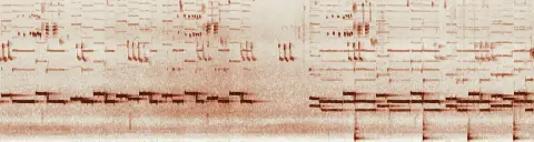 この録音の 7秒 から 37秒 までの周波数の濃淡