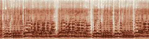 この録音の 8秒 から 38秒 までの周波数の濃淡
