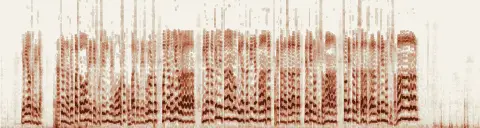 この録音の 0秒 から 24秒 までの周波数の濃淡