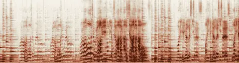 この録音の 25秒 から 55秒 までの周波数の濃淡